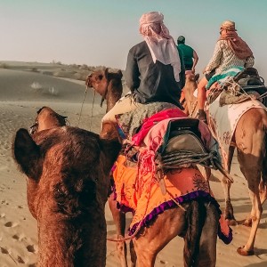 Rajasthan Desert Tour