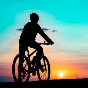 Bicycle Rental in Rajasthan